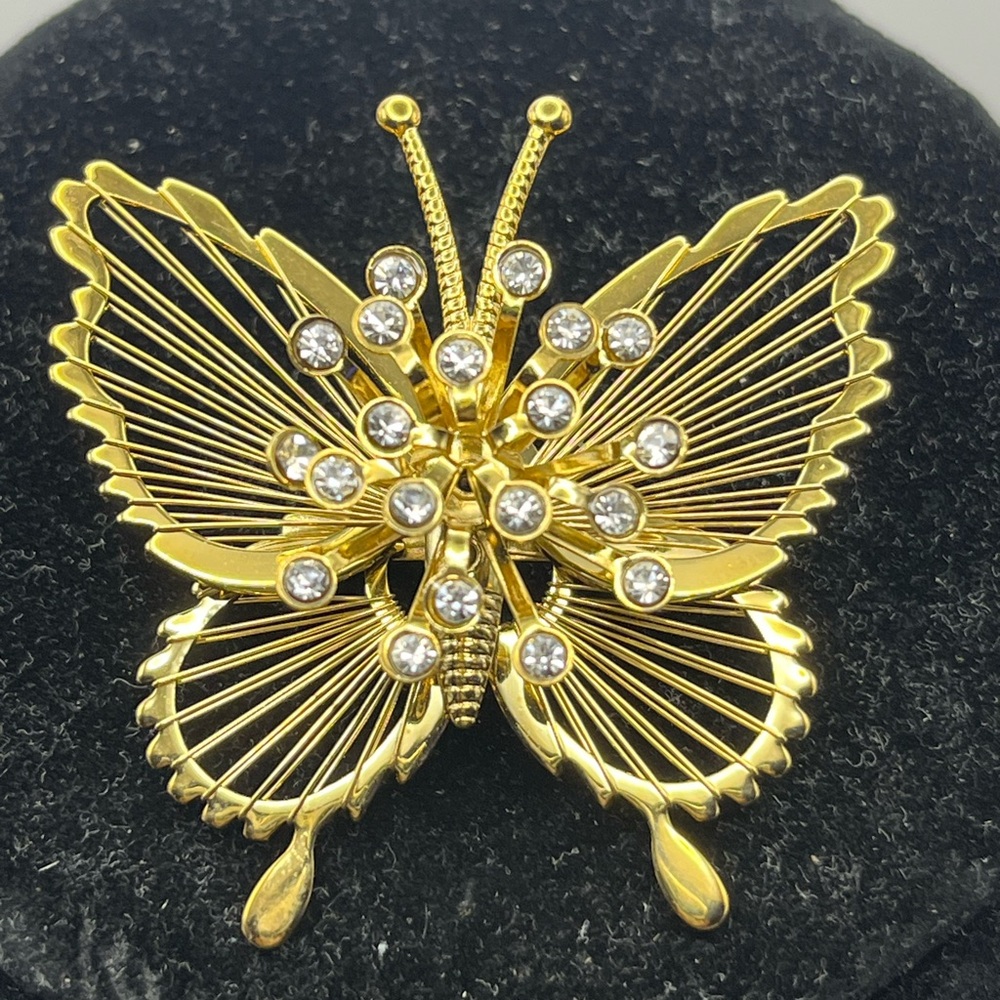 Modern Monet Butterfly 🦋 Brooch